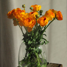 Charger l&#39;image dans la galerie, Bouquet de 10 renoncules orange Lambada
