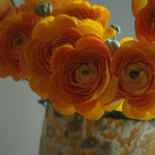 Charger l&#39;image dans la galerie, Bouquet de 10 renoncules orange Lambada
