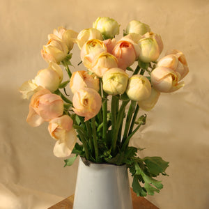 Bouquet de 10 renoncules Grand Pastel