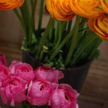 Charger l&#39;image dans la galerie, Bouquet de 10 renoncules roses intenses Bolero

