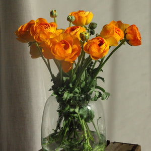 Bouquet de 10 renoncules orange Lambada