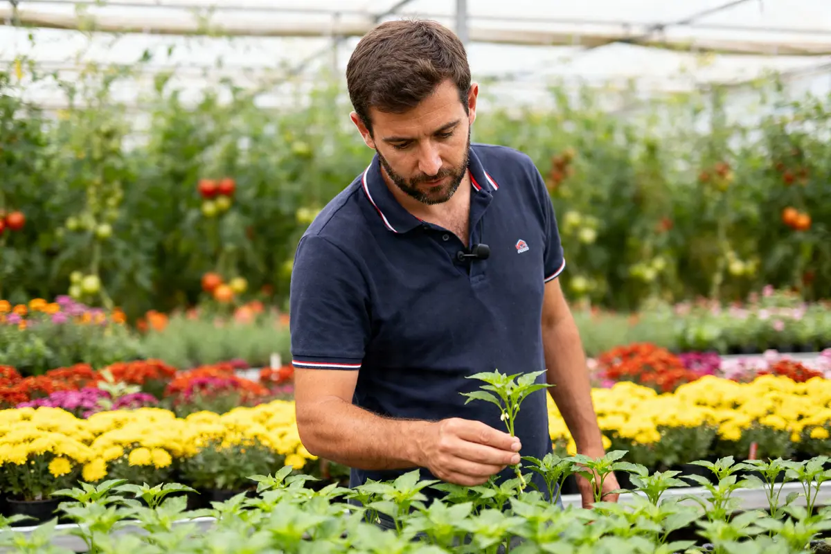 Horticulteur : métier, astuces et conseils pour réussir