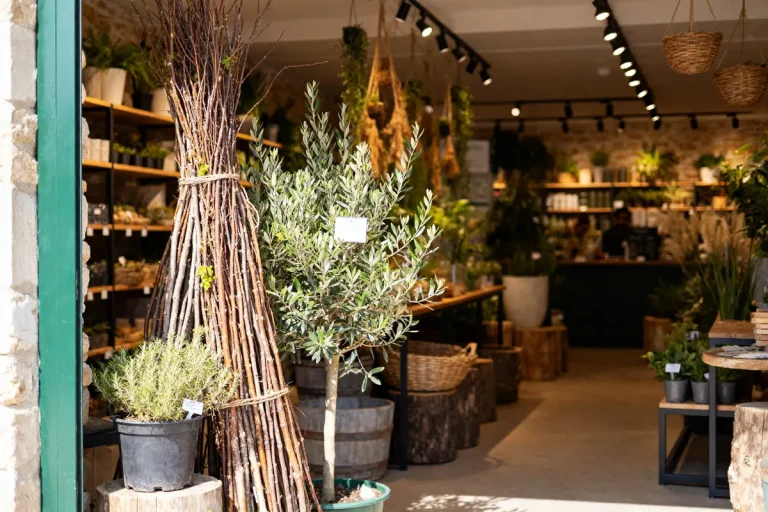 Entrée pleine de plantes et décorations intérieures du Magasin Vert Crozon