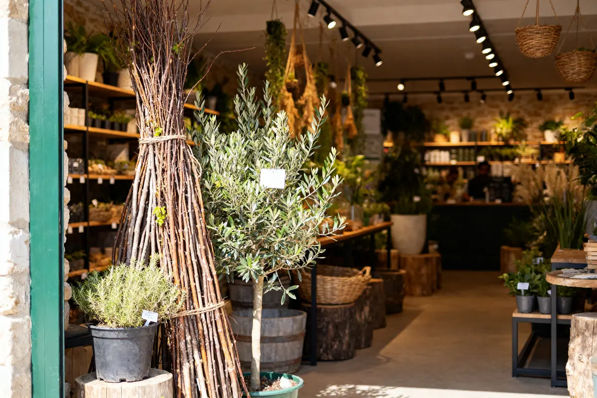 Entrée pleine de plantes et décorations intérieures du Magasin Vert Crozon