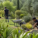 Deux personnes jardinent dans un jardin verdoyant, avec une brouette et des arbustes bien entretenus.