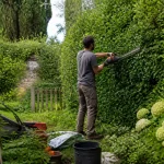 Un homme taille une haie verte avec un taille-haie électrique dans un jardin luxuriant.