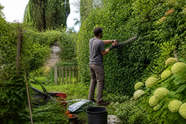 Un homme taille une haie verte avec un taille-haie électrique dans un jardin luxuriant.